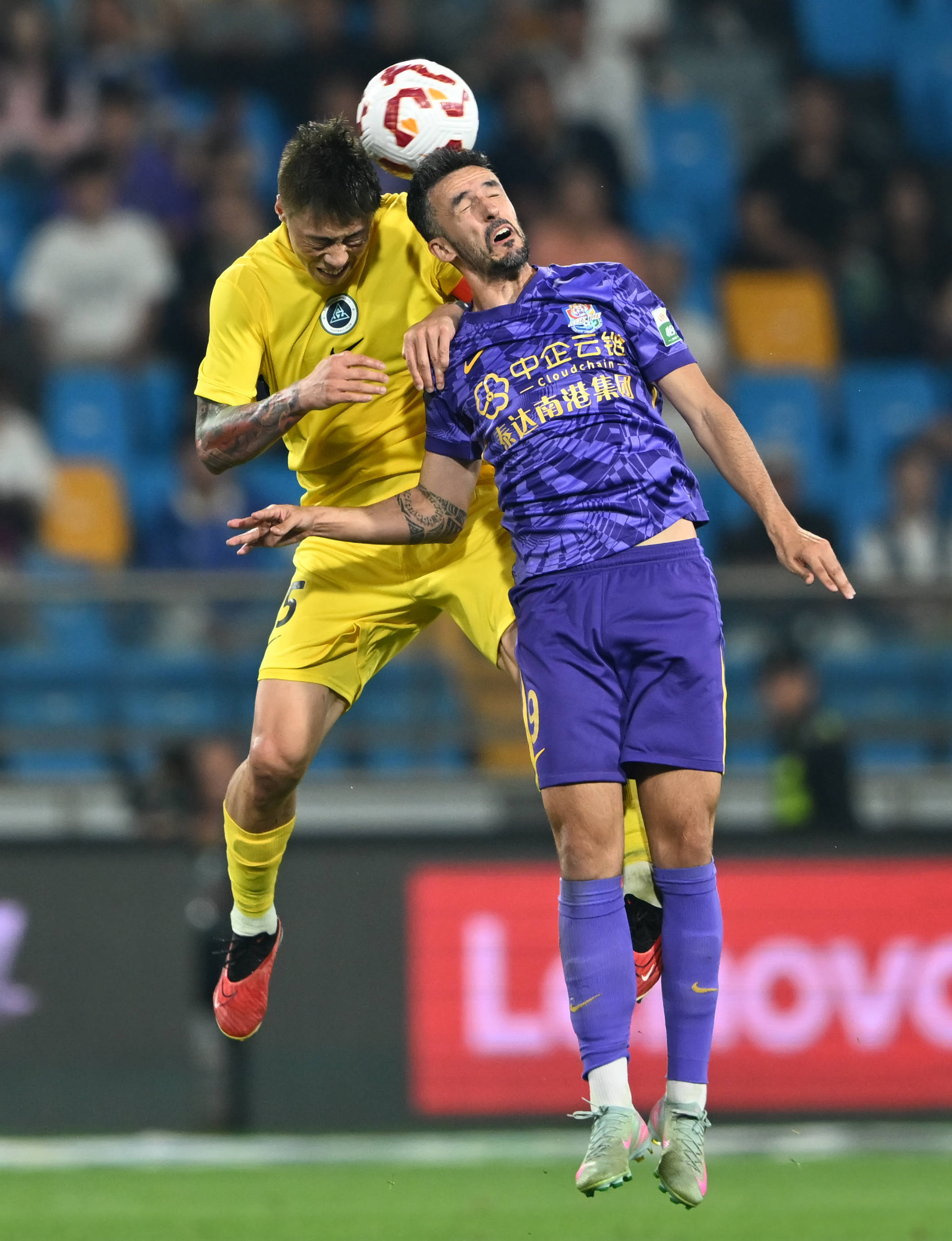 生命周期缩 生命周期缩